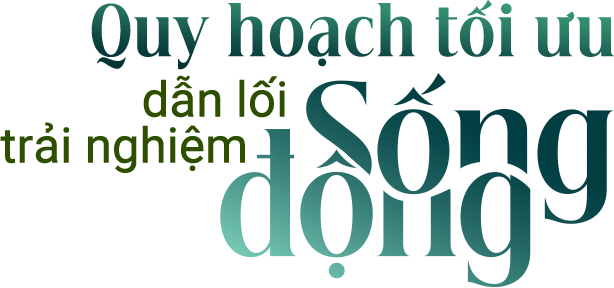 Quy hoạch tối ưu, dẫn lối trải nghiệm sống động