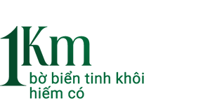 1Km